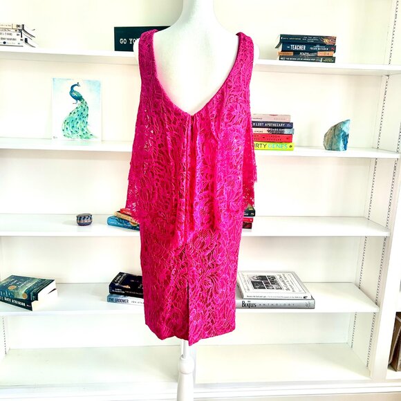 Theia Pink Lace Dress - Picture 3 of 6